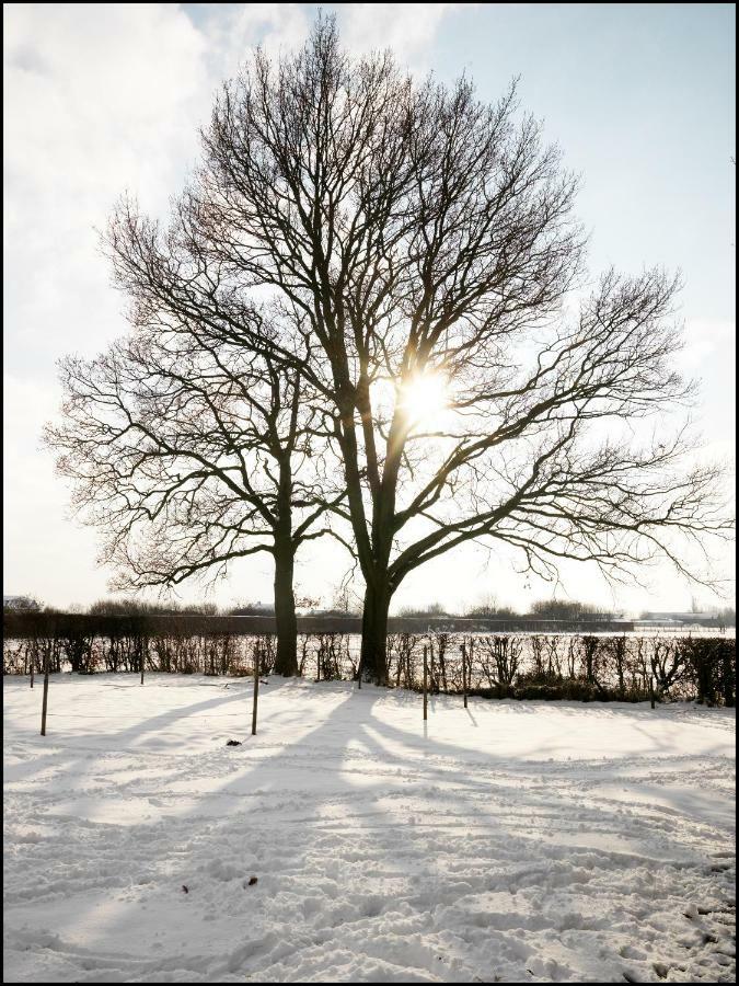 Rooseboom22 Bed and Breakfast Aartrijke Exteriör bild