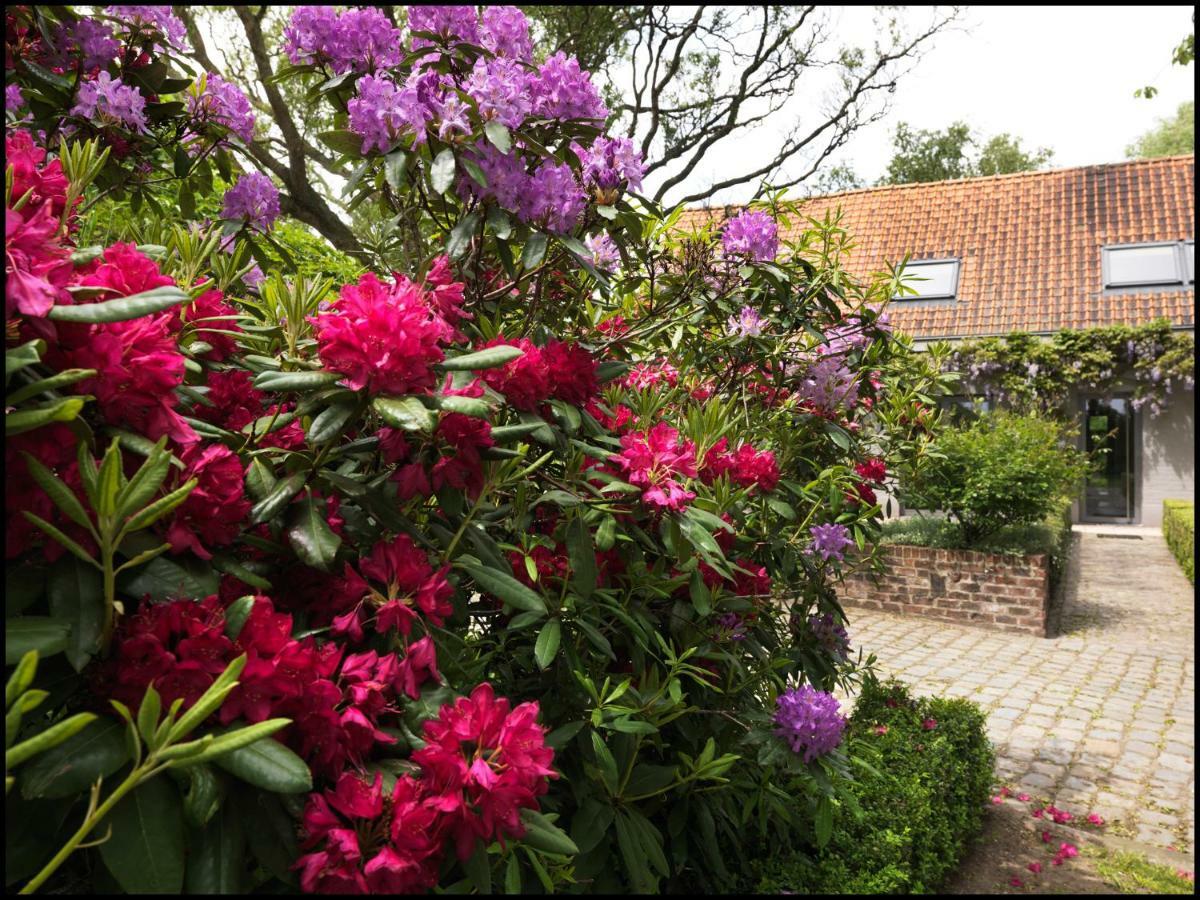 Rooseboom22 Bed and Breakfast Aartrijke Exteriör bild