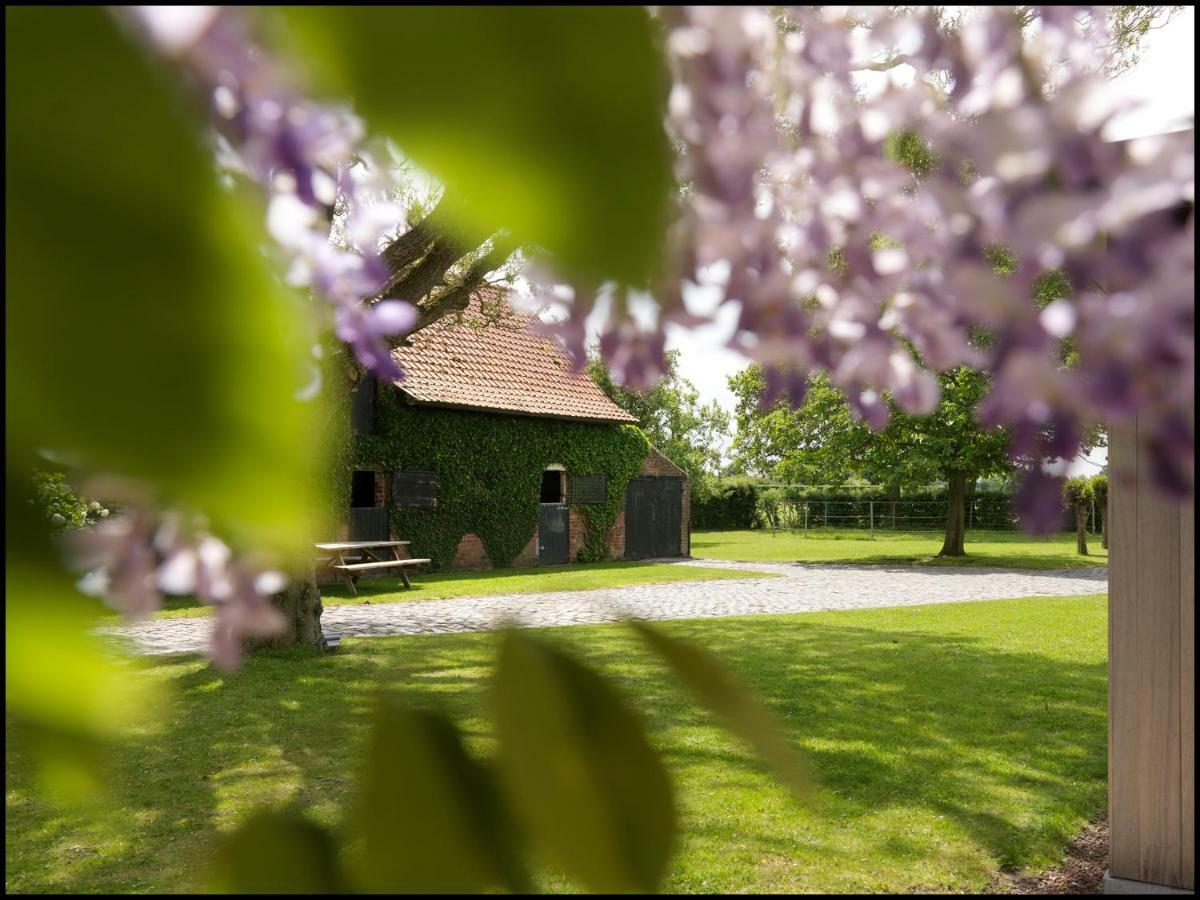 Rooseboom22 Bed and Breakfast Aartrijke Exteriör bild
